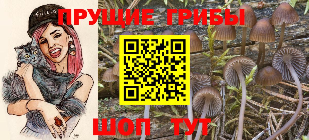 Галлюциногенные грибы Cubensis  Вход с VPN  Октябрьский 
